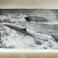 1915 HOME of BLIZZARD AUSTRALASIAN ANTARCTIC EXPEDITION antique ILLUSTRATED
