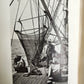 1915 HOME of BLIZZARD AUSTRALASIAN ANTARCTIC EXPEDITION antique ILLUSTRATED