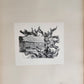 1880 PROOFS IMPRESSIONS from Scribner's Monthly & St. Nicholas antique FOLIO