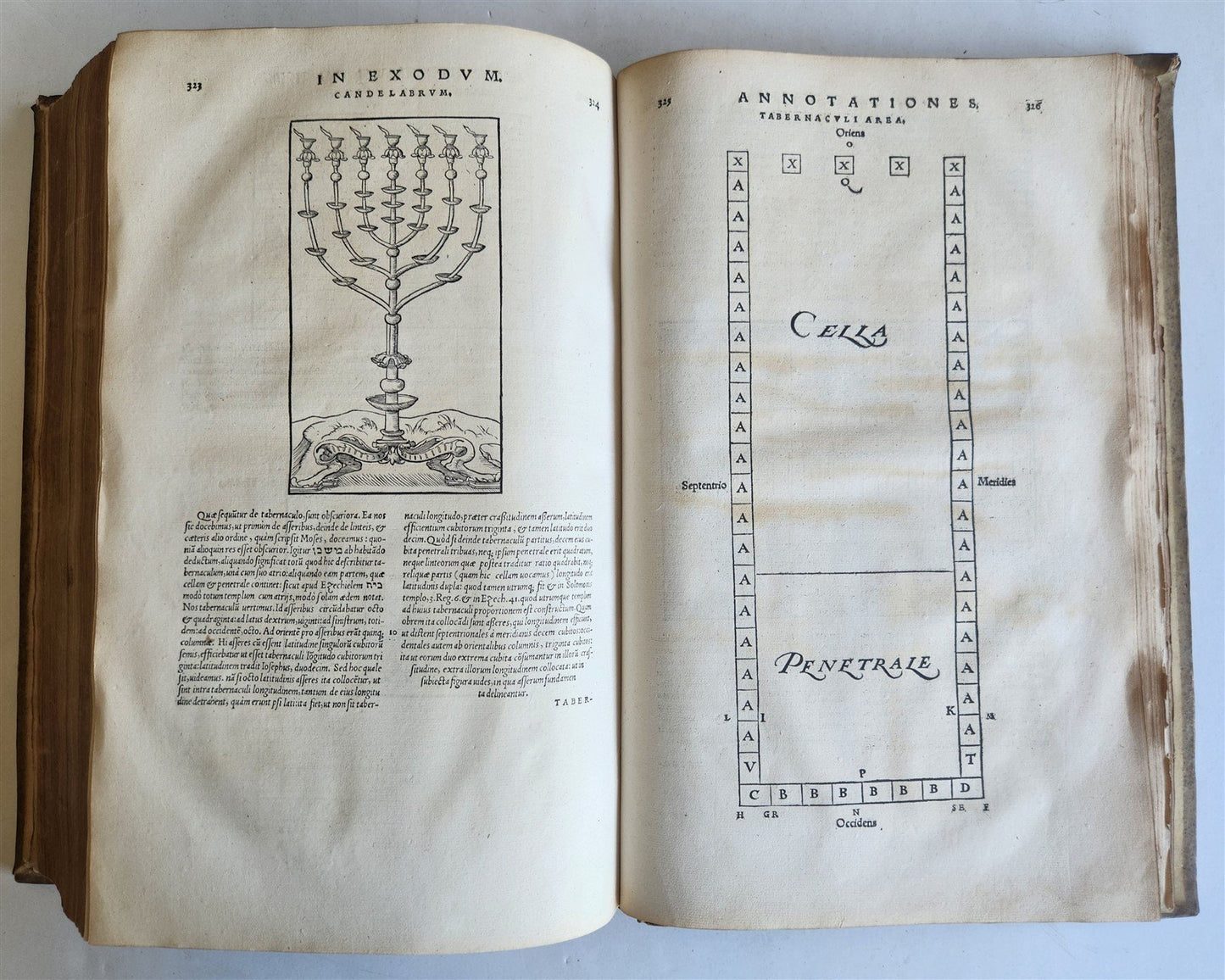 1554 BIBLE in LATIN ILLUSTRATED vellum bound folio ANTIQUE 16th CENTURY
