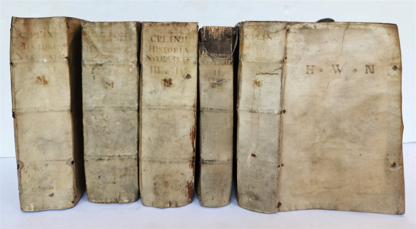 1565 PLINIUS encyclopaedia of natural history 5 VELLUM BOUND VOLUMES 16c ANTIQUE