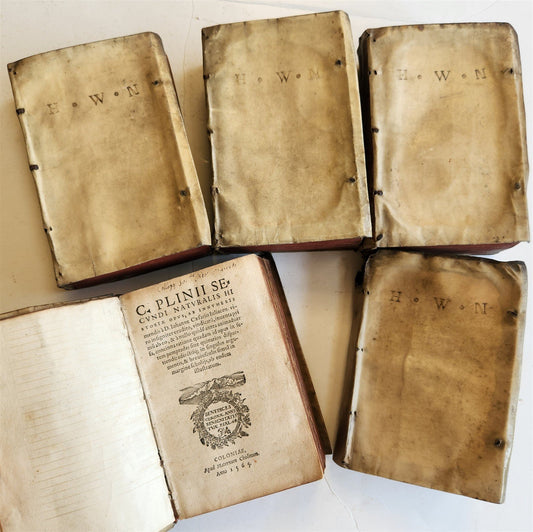 1565 PLINIUS encyclopaedia of natural history 5 VELLUM BOUND VOLUMES 16c ANTIQUE