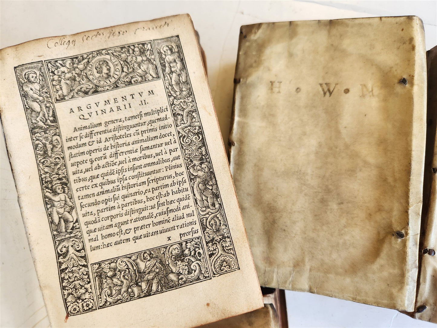 1565 PLINIUS encyclopaedia of natural history 5 VELLUM BOUND VOLUMES 16c ANTIQUE
