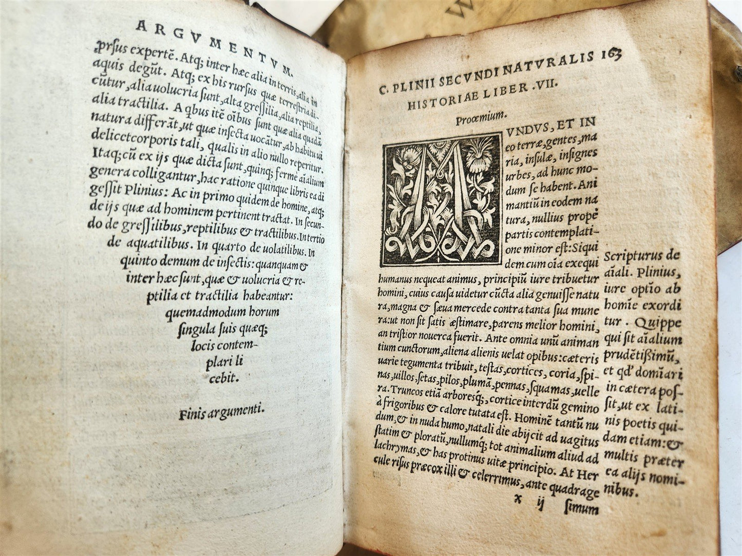 1565 PLINIUS encyclopaedia of natural history 5 VELLUM BOUND VOLUMES 16c ANTIQUE