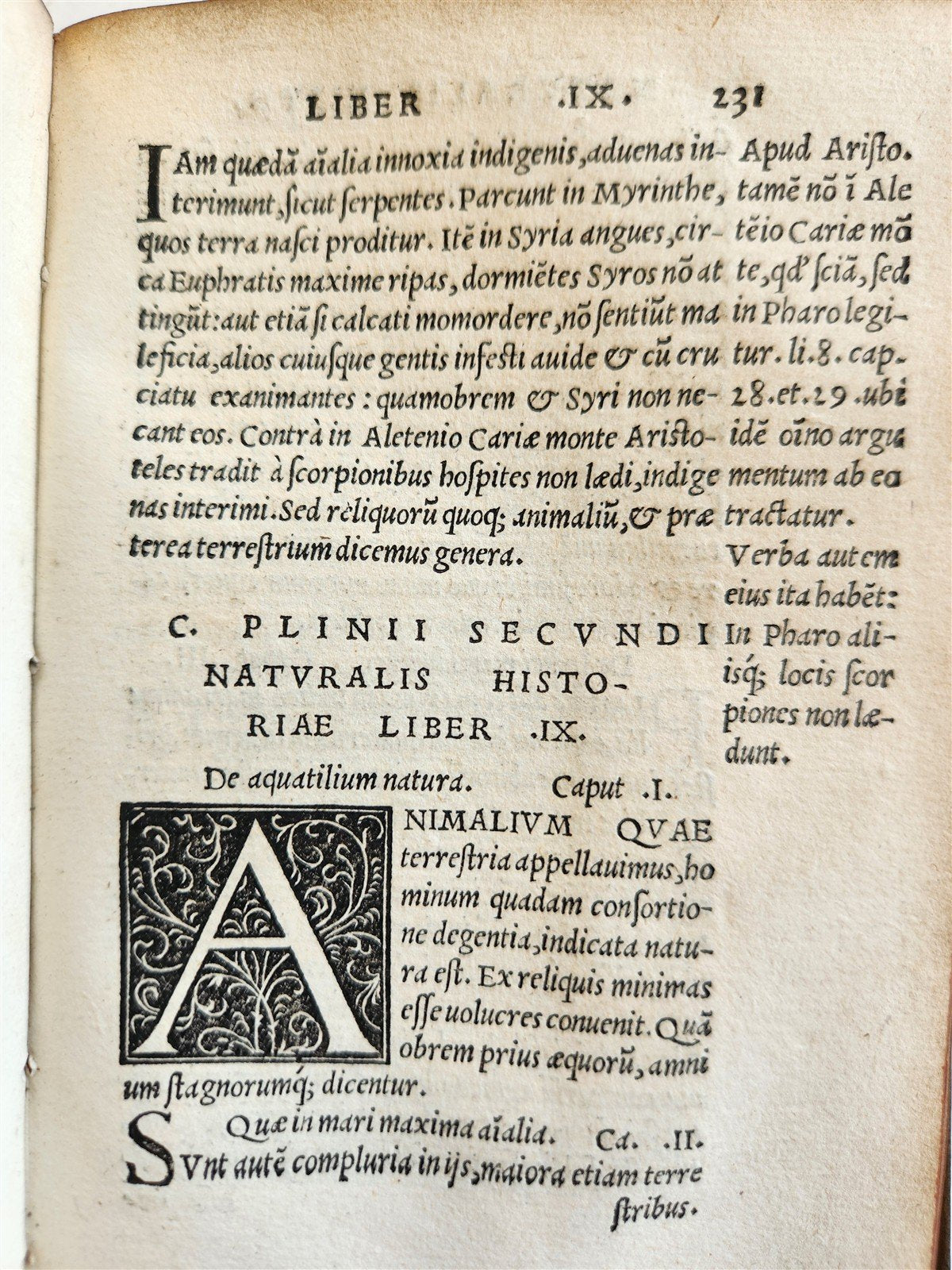 1565 PLINIUS encyclopaedia of natural history 5 VELLUM BOUND VOLUMES 16c ANTIQUE