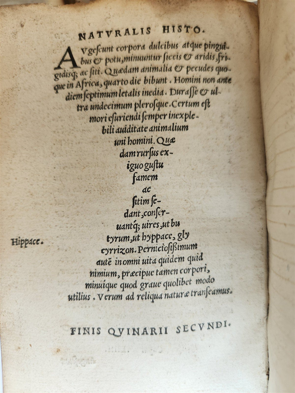 1565 PLINIUS encyclopaedia of natural history 5 VELLUM BOUND VOLUMES 16c ANTIQUE