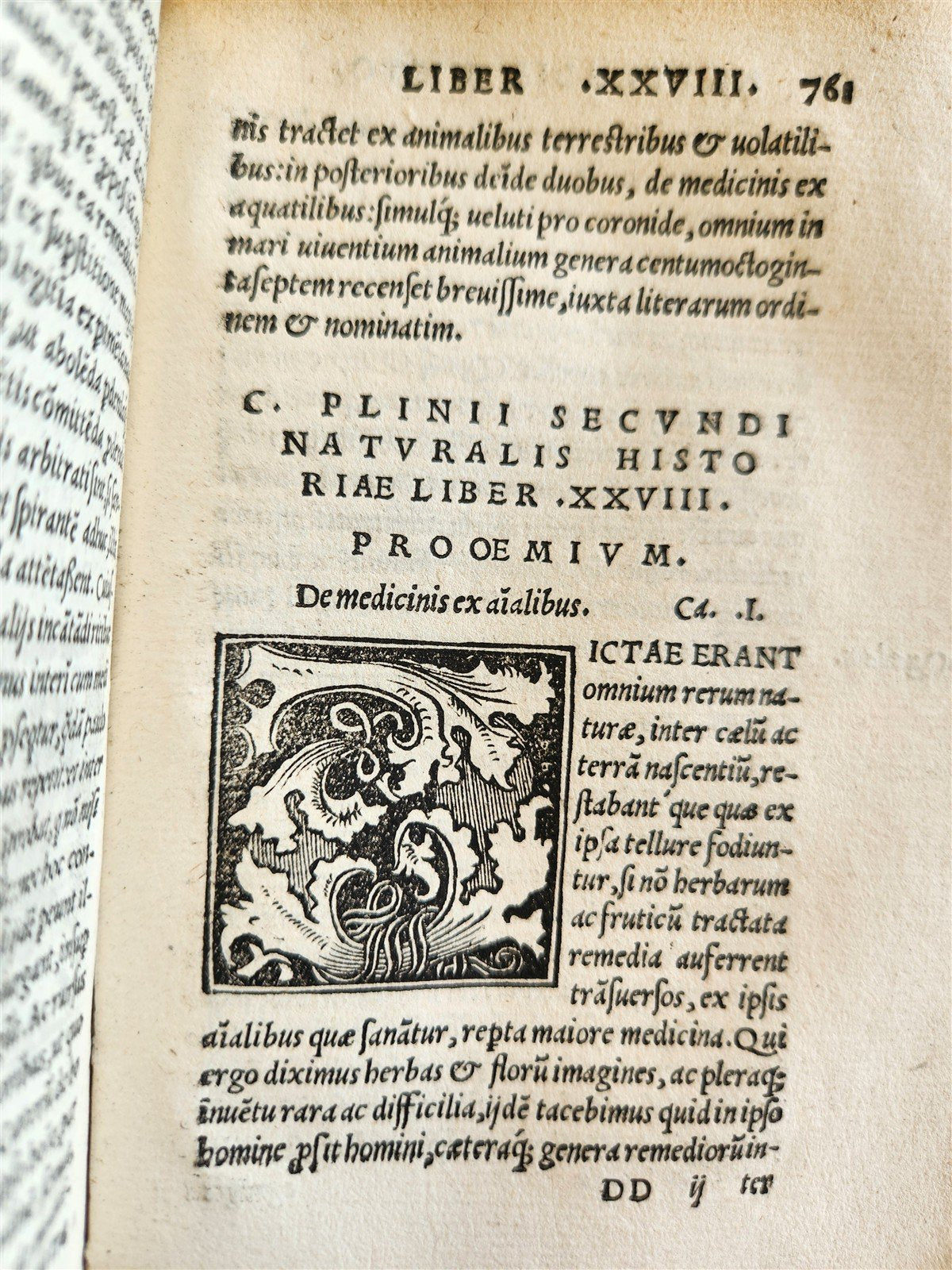 1565 PLINIUS encyclopaedia of natural history 5 VELLUM BOUND VOLUMES 16c ANTIQUE