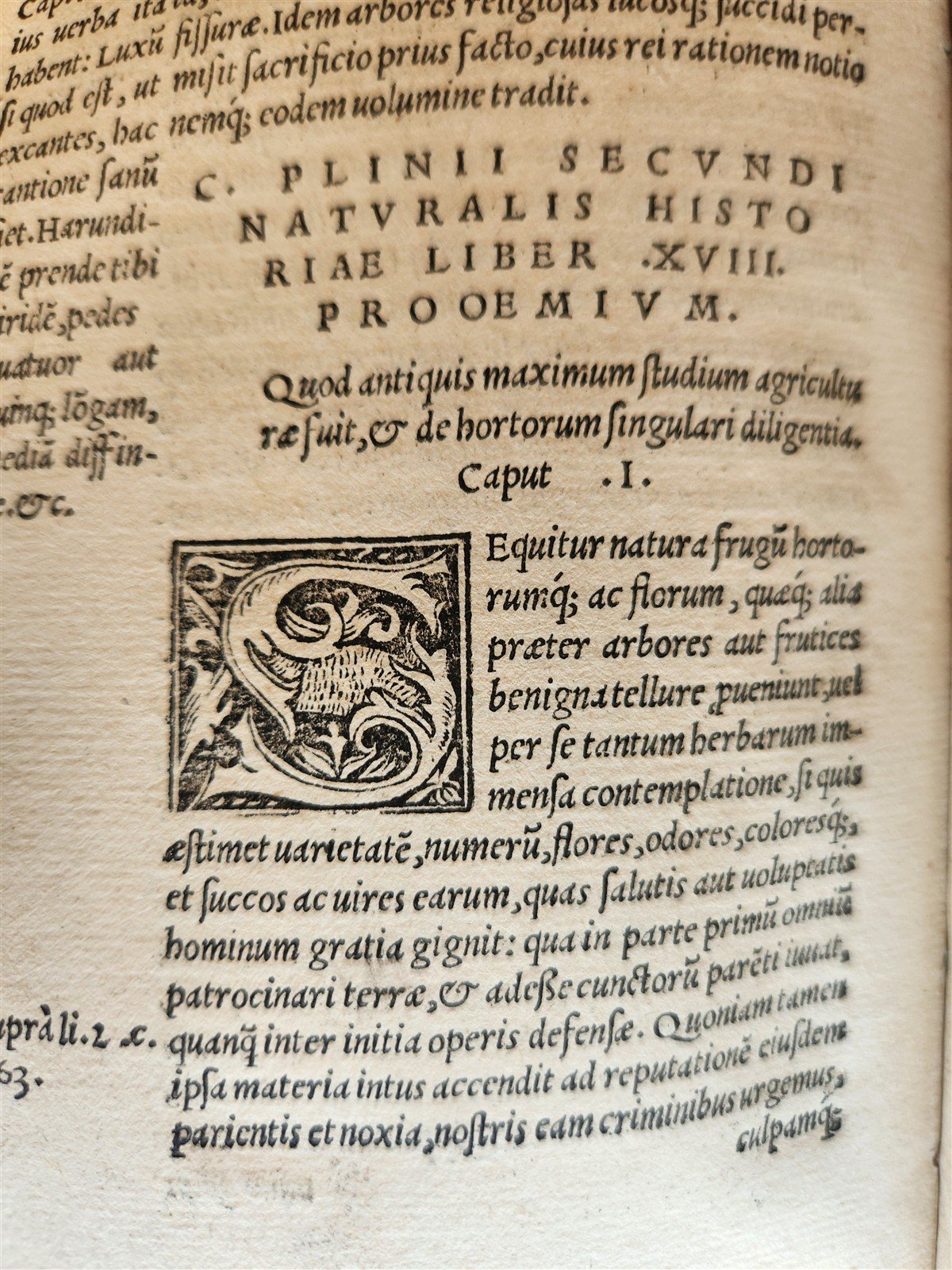 1565 PLINIUS encyclopaedia of natural history 5 VELLUM BOUND VOLUMES 16c ANTIQUE