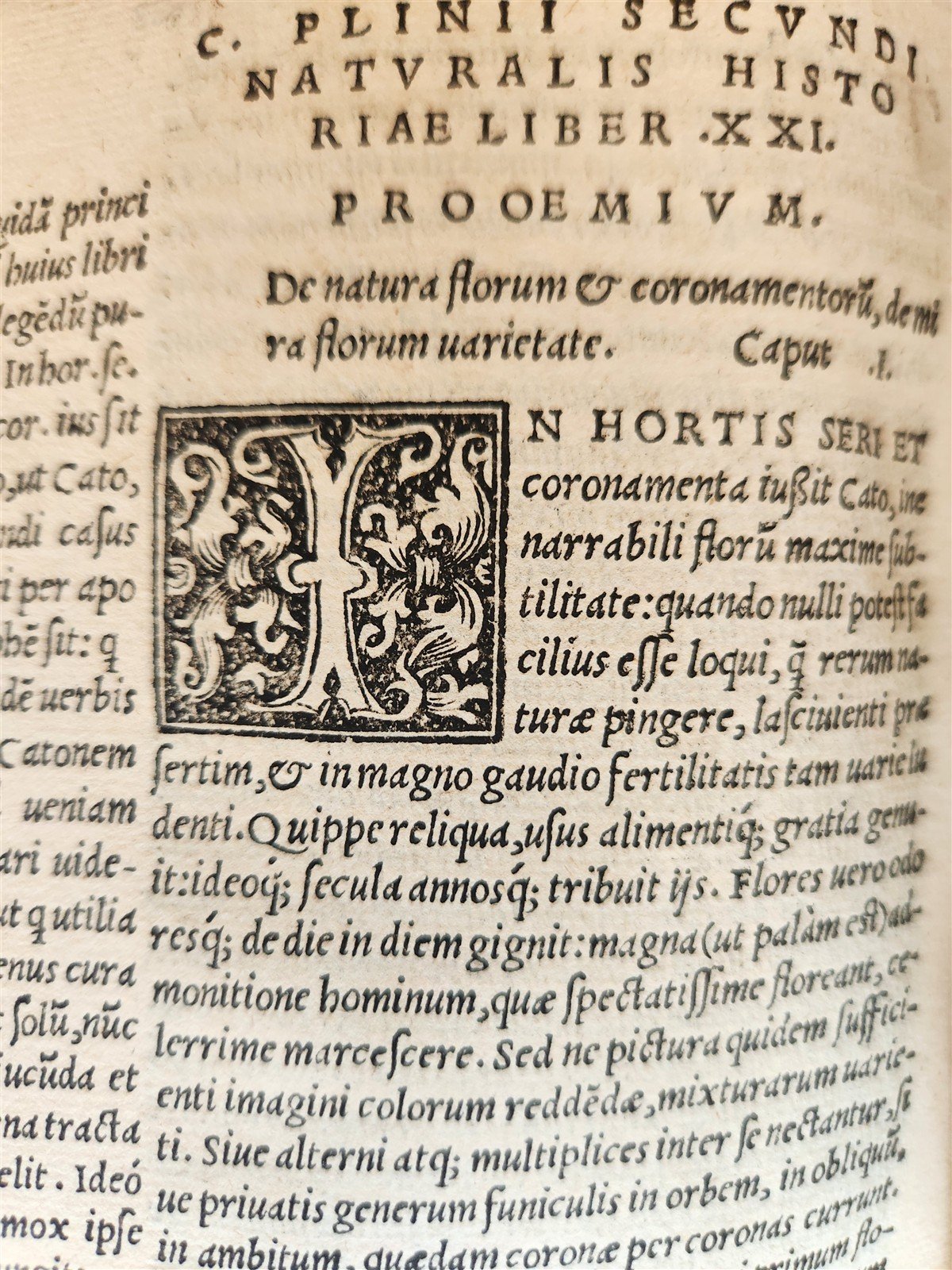 1565 PLINIUS encyclopaedia of natural history 5 VELLUM BOUND VOLUMES 16c ANTIQUE