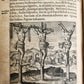 1598 DE MILITIA ROMANA CRUCE LIPSIUS antique ILLUSTRATED WARFARE Plantin vellum