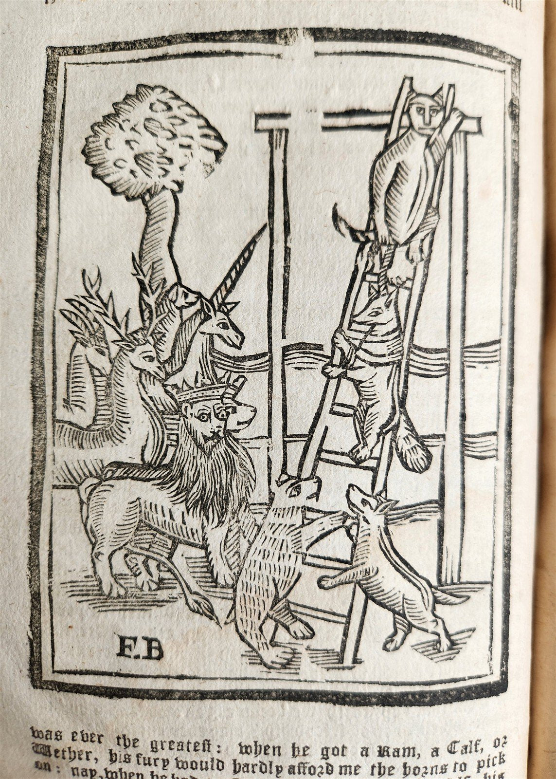 1701 REYNARD THE FOX in ENGLISH antique ILLUSTRATED w/ WOODCUTS