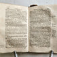 1646 HISTORY of TIVOLI by Francesco Martio TIBURTINO antique in ITALIAN vellum