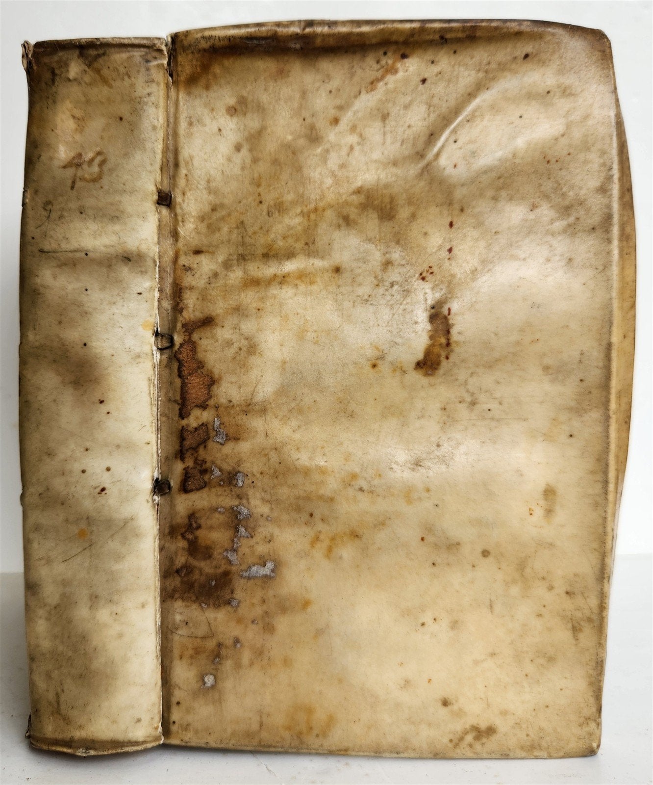 1596 HISTORY of FLANDRIA by Jacobus MARCHANTIUS antique VELLUM Plantin Publisher
