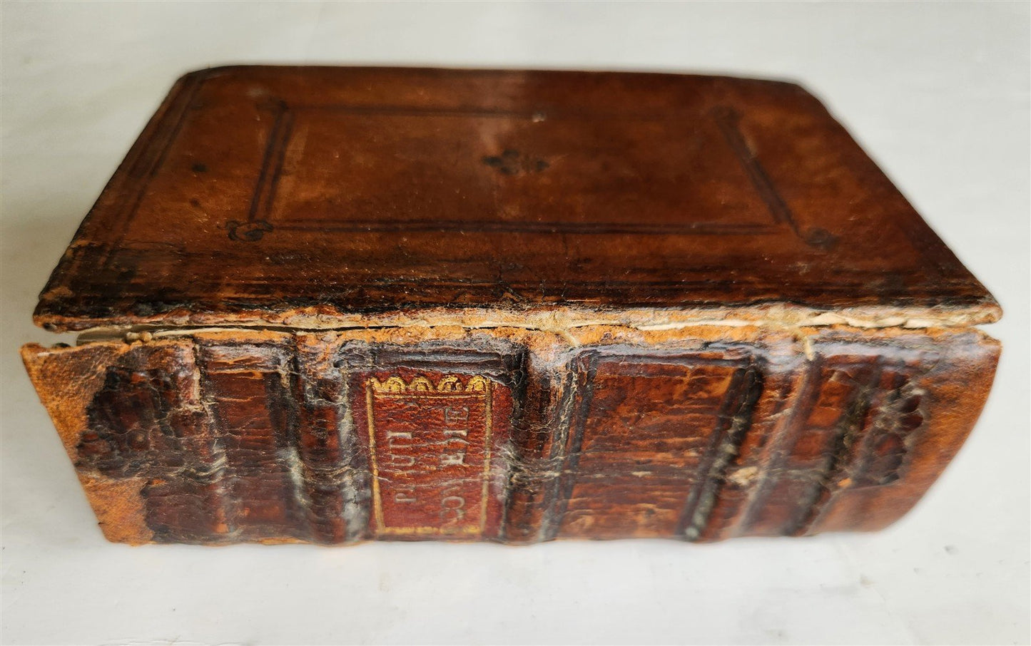 1566 1st Plantin pocket edition of Plautus COMEDIES antique 16th CENTURY BINDING