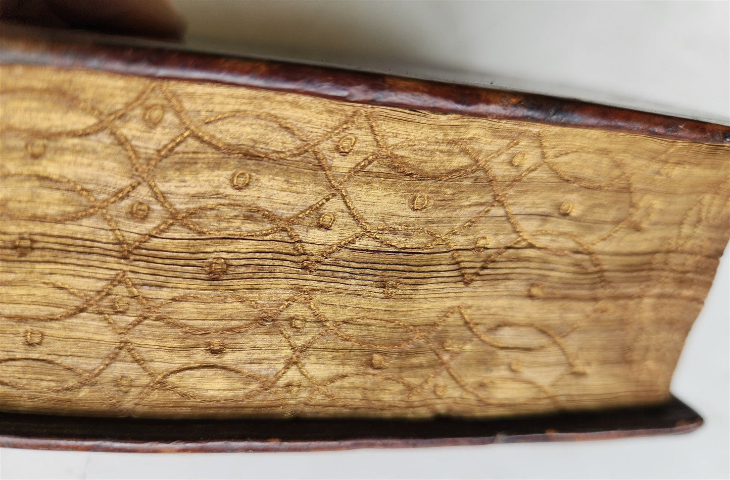 1566 1st Plantin pocket edition of Plautus COMEDIES antique 16th CENTURY BINDING