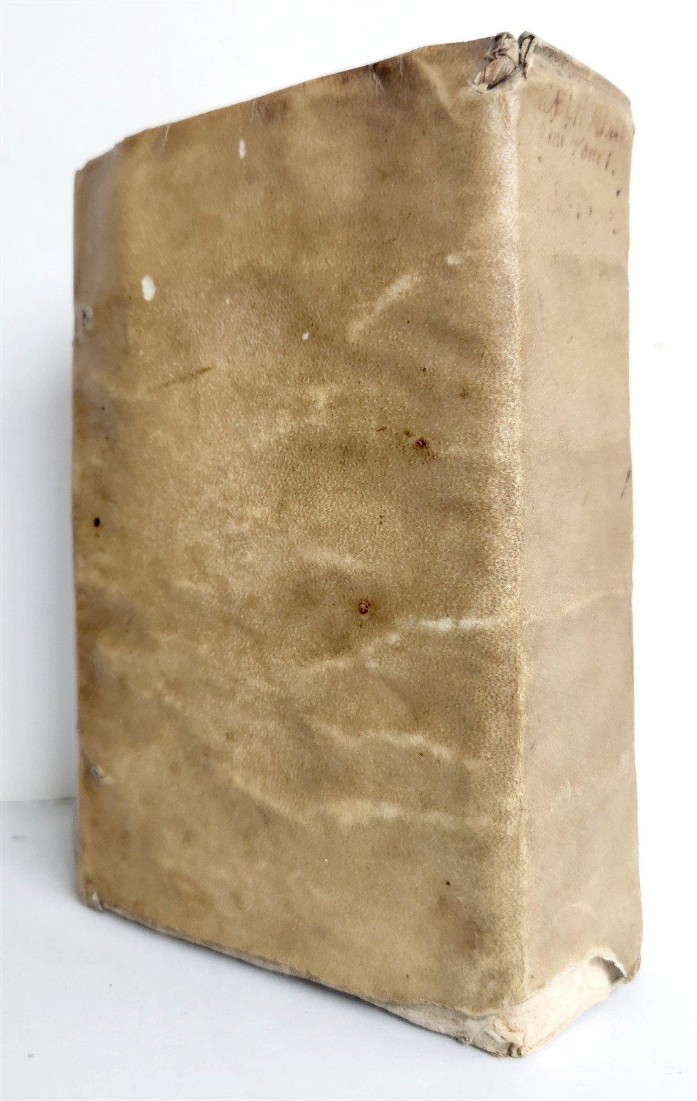 1560 LECTIONUM ANTIQUARUM by Ludovico Caelio Rhodigino antique in LATIN
