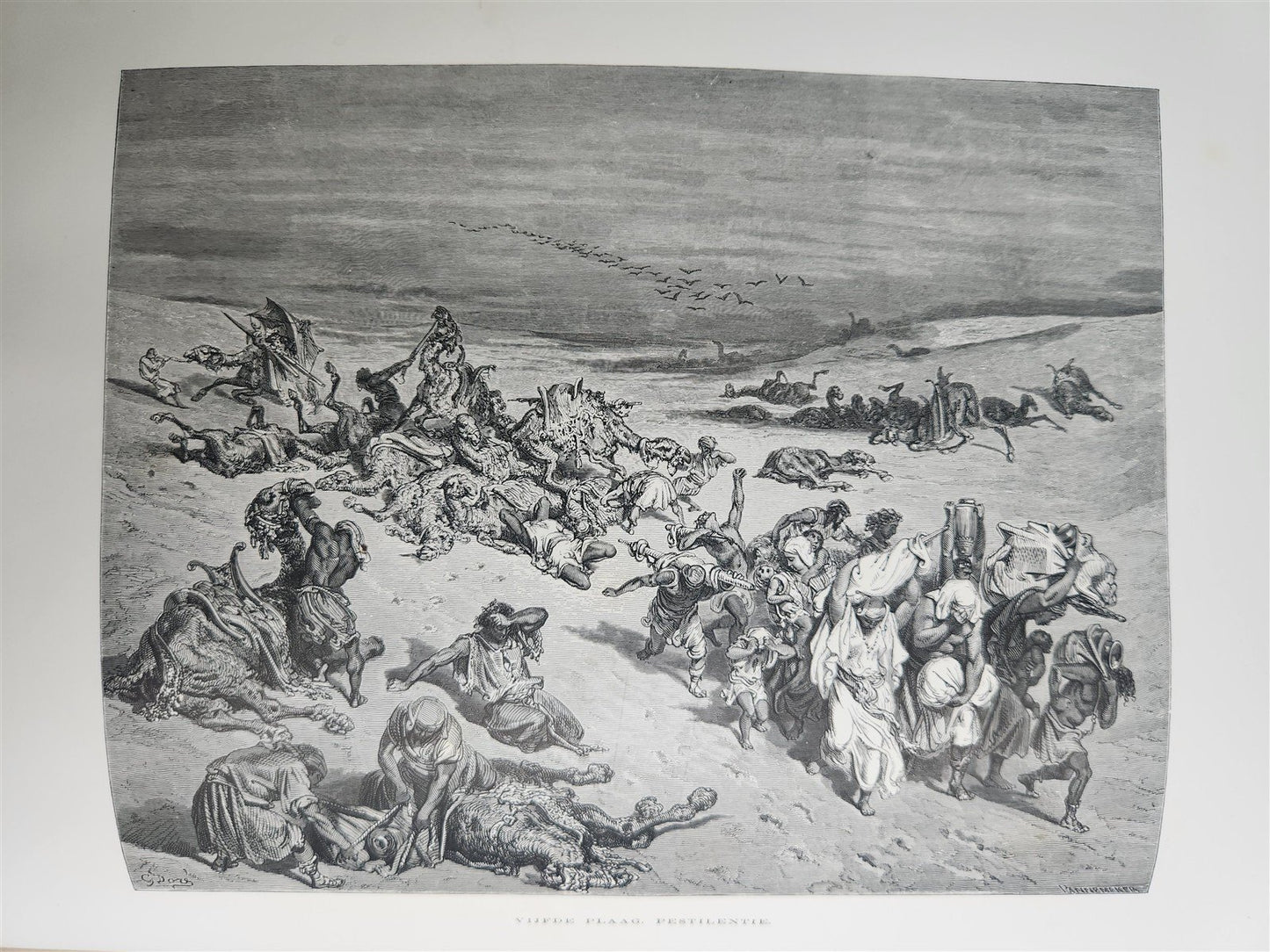 1870 BIBLE in DUTCH GUSTAVE DORE LLUSTRATED MASSIVE FOLIO antique 200 plates
