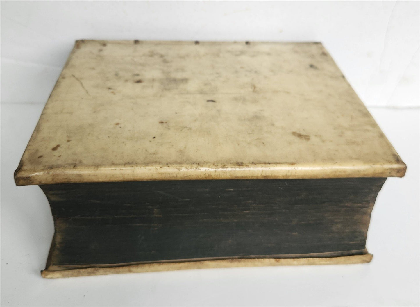 1684 Horae Hebraicae et Talmudicae in quatvor Evangelistas antique vellum bound