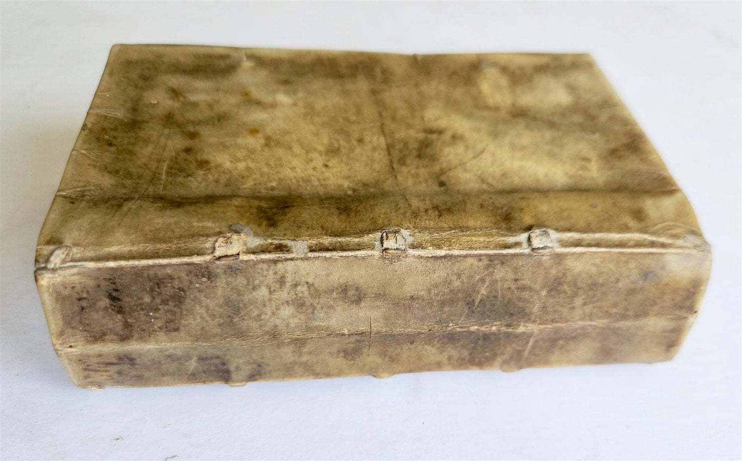 1558 JULIUS CAESAR Rerum ab se gestarum commentarii ILLUSTRATED antique VELLUM