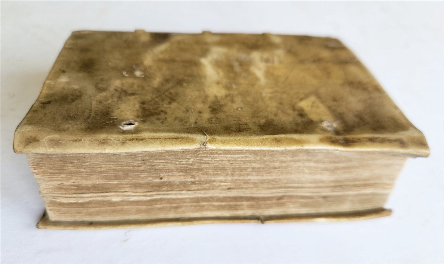 1558 JULIUS CAESAR Rerum ab se gestarum commentarii ILLUSTRATED antique VELLUM