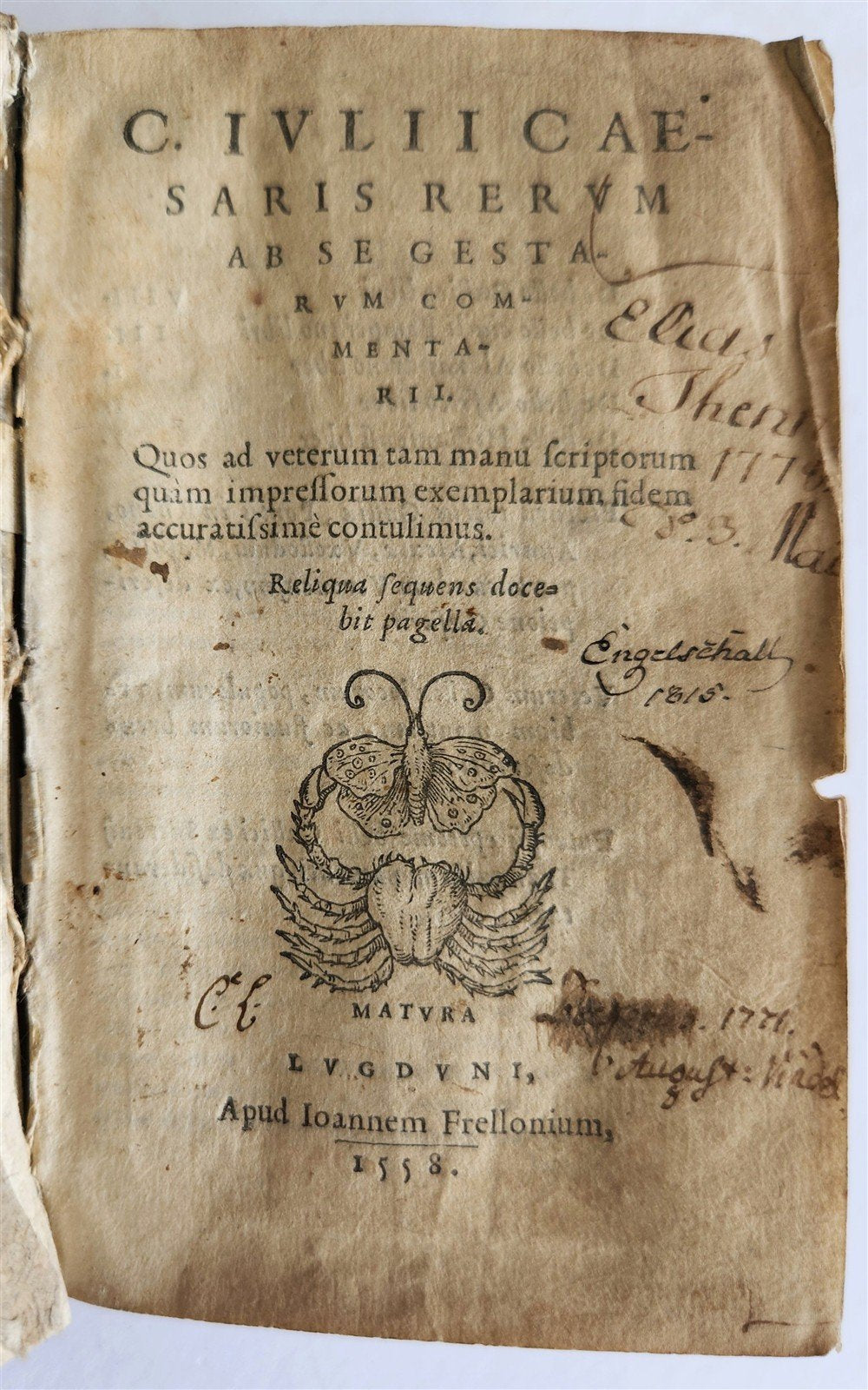 1558 JULIUS CAESAR Rerum ab se gestarum commentarii ILLUSTRATED antique VELLUM