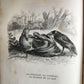 1839 FABLES by LA FONTAINE 2 VOLUMES illustrated ANTIQUE in FRENCH