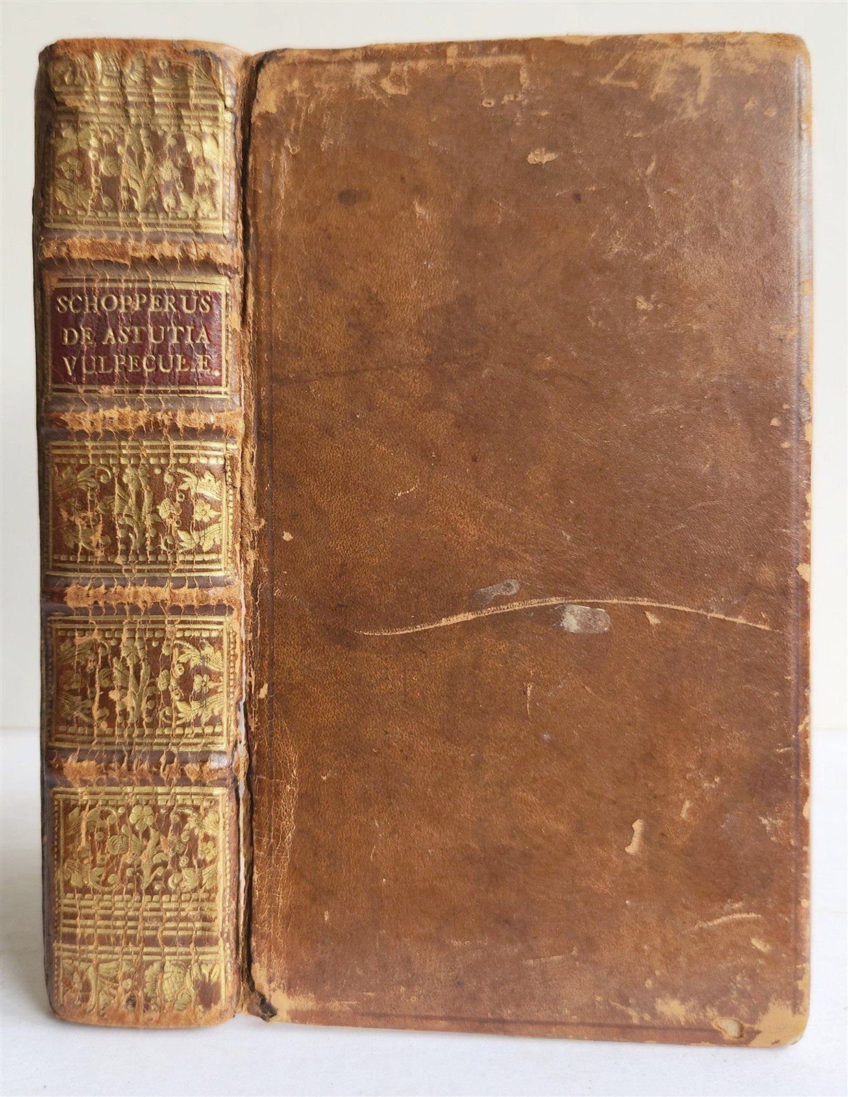 1595 REYNARD the FOX in LATIN illustrated by Jost Amman & Virgil Solis ANTIQUE