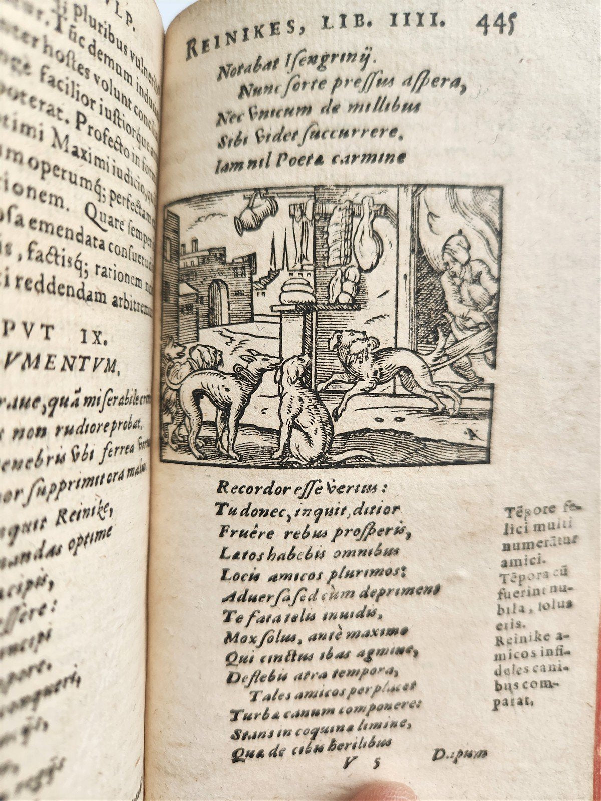 1595 REYNARD the FOX in LATIN illustrated by Jost Amman & Virgil Solis ANTIQUE