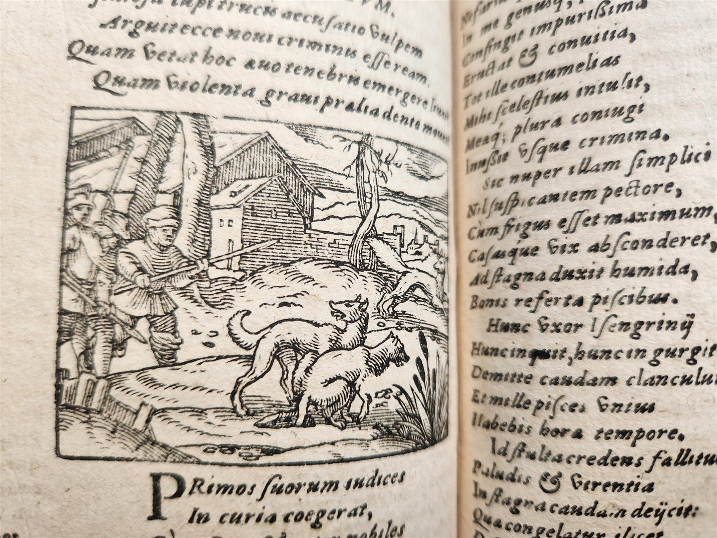 1595 REYNARD the FOX in LATIN illustrated by Jost Amman & Virgil Solis ANTIQUE