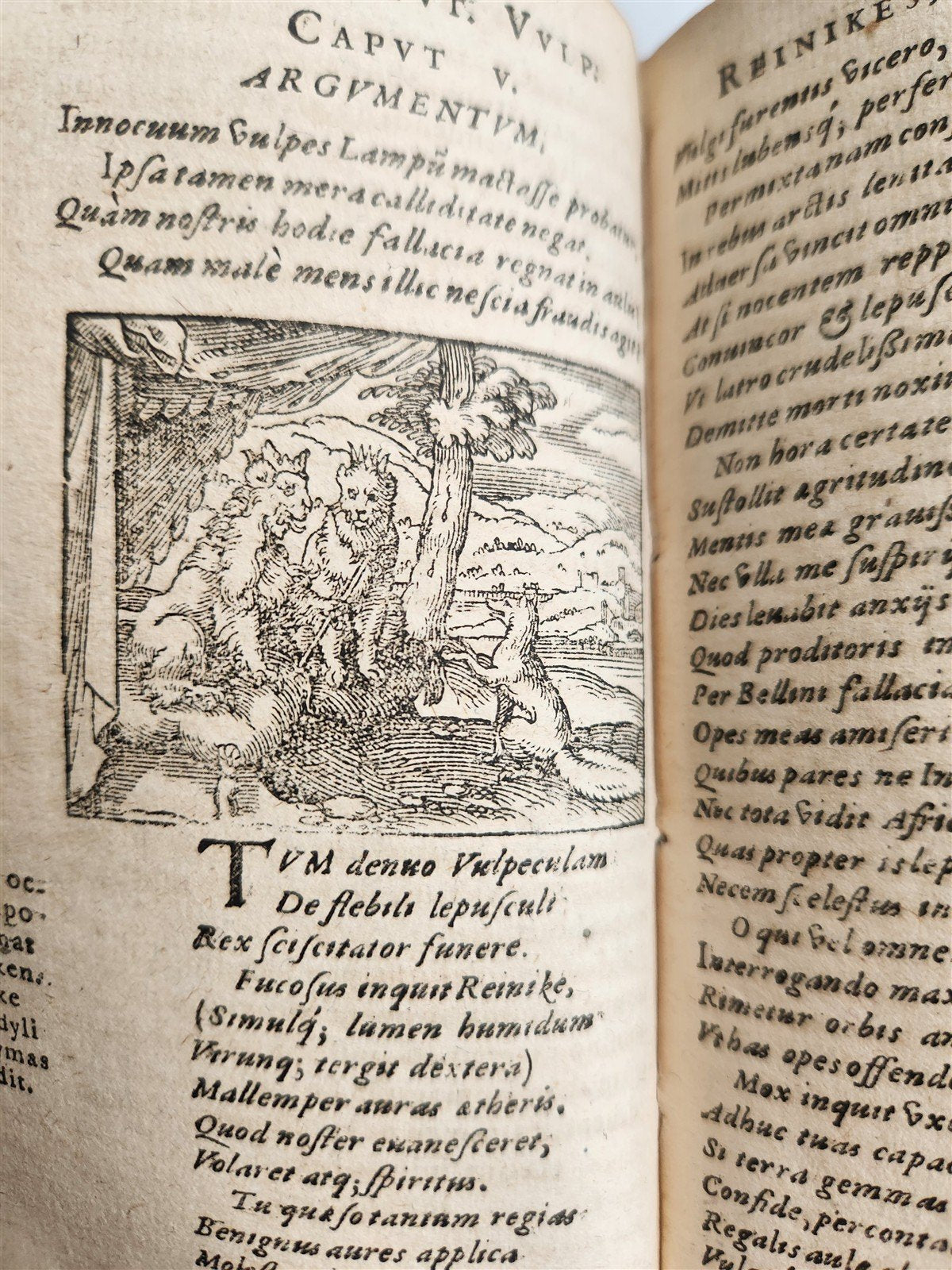 1595 REYNARD the FOX in LATIN illustrated by Jost Amman & Virgil Solis ANTIQUE