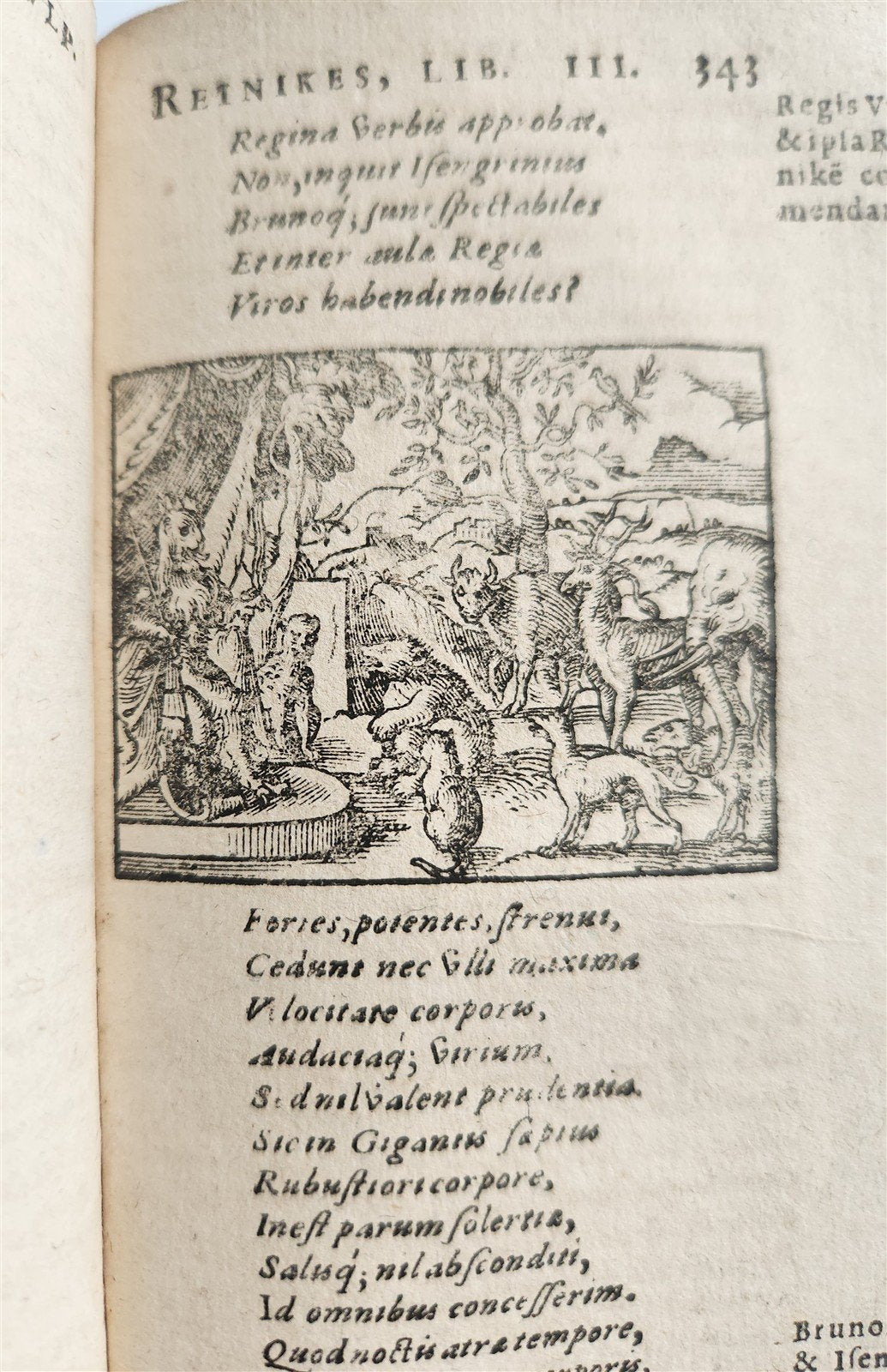 1595 REYNARD the FOX in LATIN illustrated by Jost Amman & Virgil Solis ANTIQUE