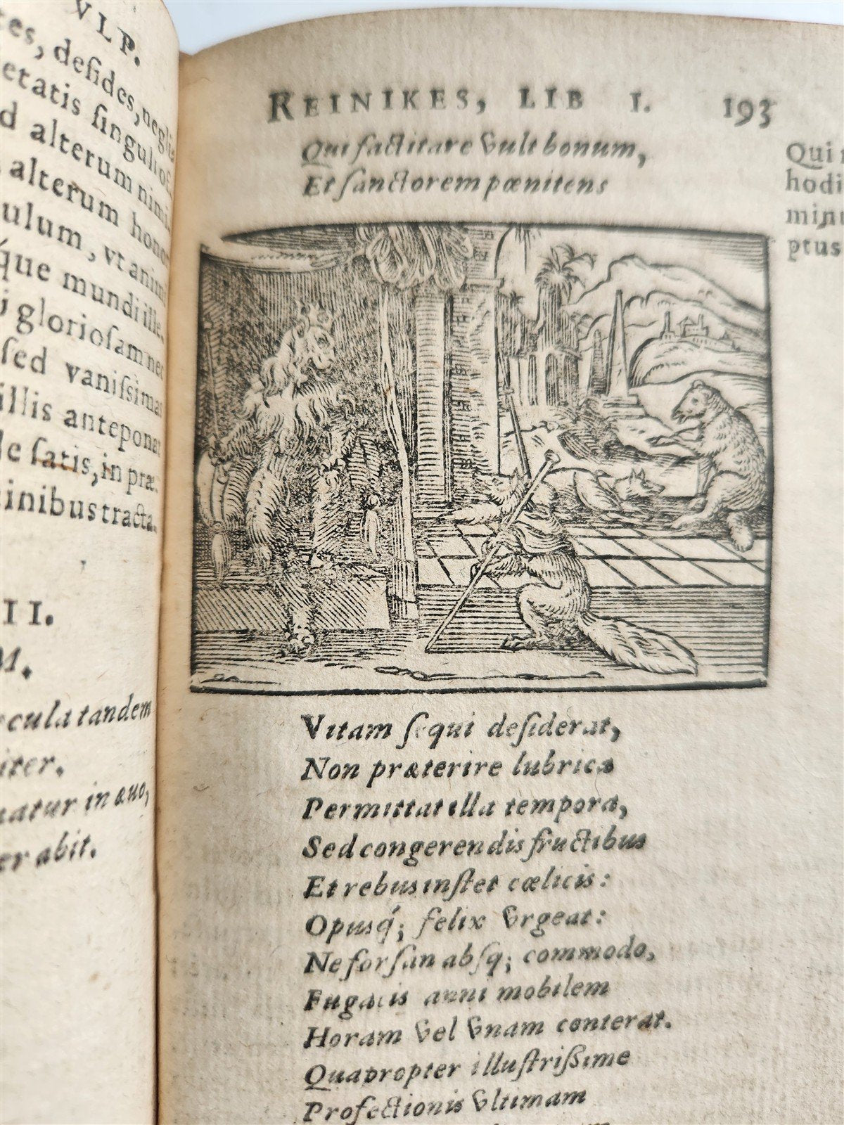1595 REYNARD the FOX in LATIN illustrated by Jost Amman & Virgil Solis ANTIQUE