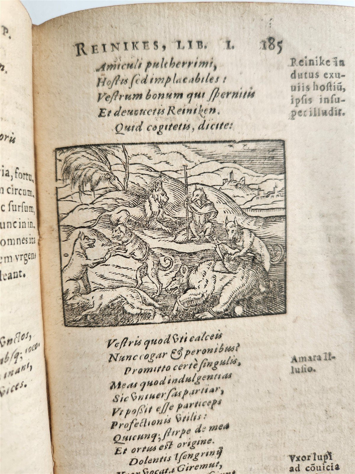 1595 REYNARD the FOX in LATIN illustrated by Jost Amman & Virgil Solis ANTIQUE