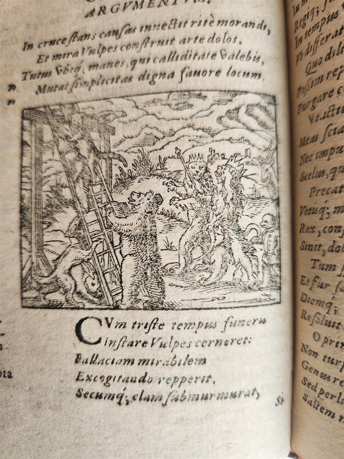1595 REYNARD the FOX in LATIN illustrated by Jost Amman & Virgil Solis ANTIQUE