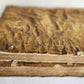 1723 MEDICAL TREATISE on ARTHRITIS & PODAGRA 2 volumes ANTIQUE vellum binding