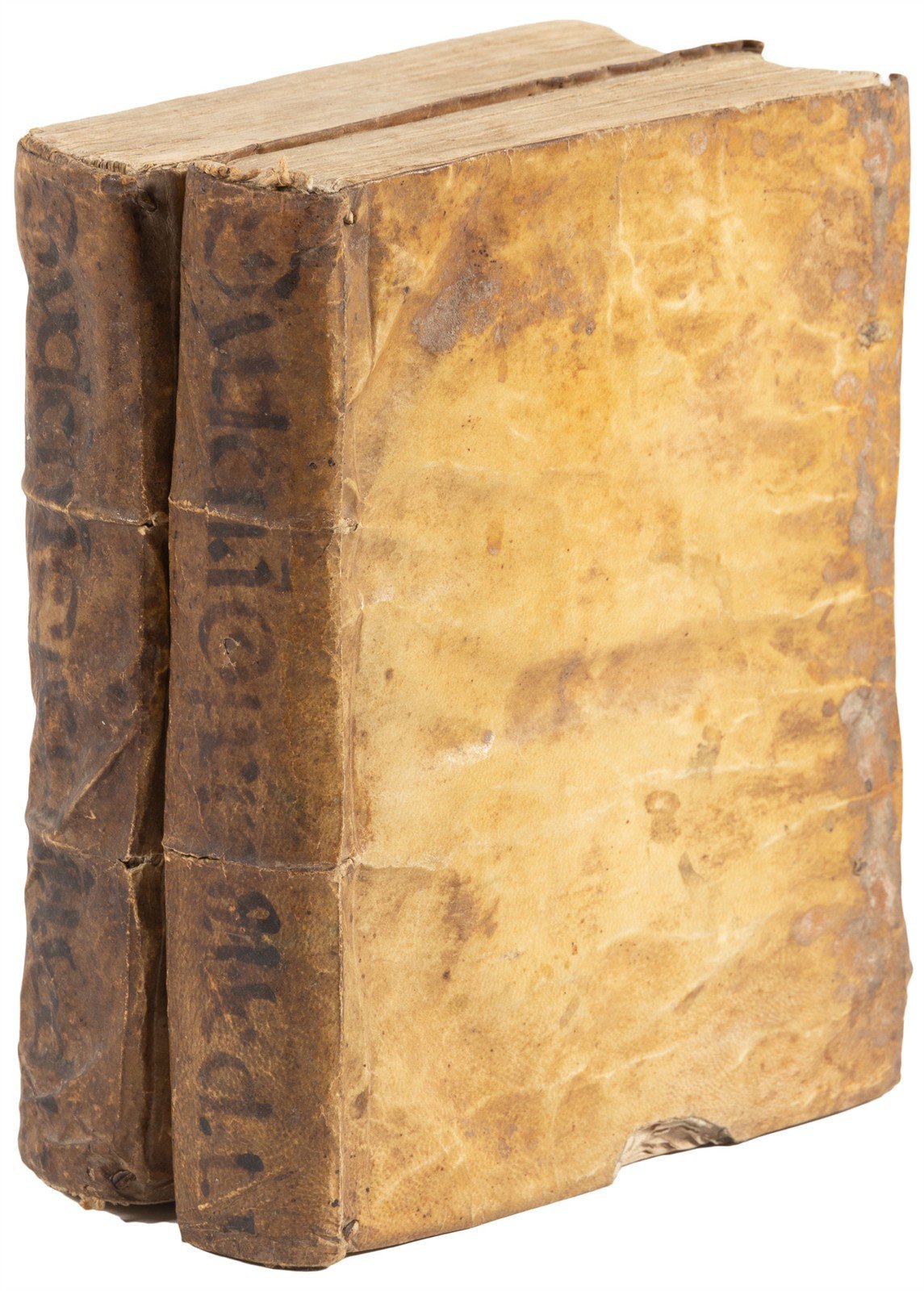 1723 MEDICAL TREATISE on ARTHRITIS & PODAGRA 2 volumes ANTIQUE vellum binding