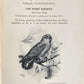 1903 PARRAKEETS Handbook to the Imported Species ANTIQUE ILLUSTRATED parrots