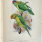 1903 PARRAKEETS Handbook to the Imported Species ANTIQUE ILLUSTRATED parrots