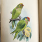 1903 PARRAKEETS Handbook to the Imported Species ANTIQUE ILLUSTRATED parrots