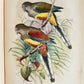 1903 PARRAKEETS Handbook to the Imported Species ANTIQUE ILLUSTRATED parrots