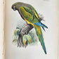 1903 PARRAKEETS Handbook to the Imported Species ANTIQUE ILLUSTRATED parrots