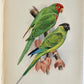 1903 PARRAKEETS Handbook to the Imported Species ANTIQUE ILLUSTRATED parrots