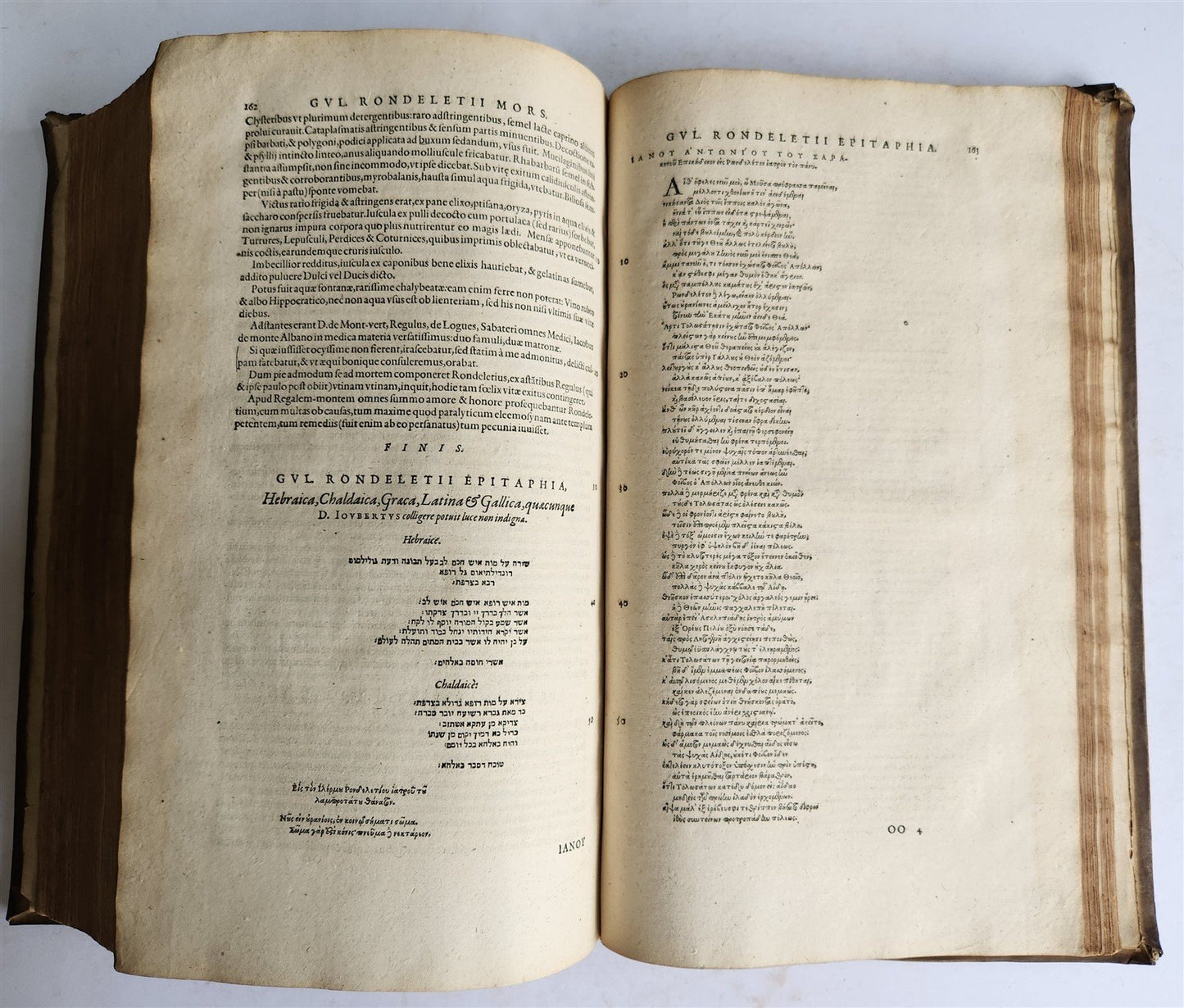 1599 MEDICAL TREATISE by Laurent Jourbert antique VELLUM 16th century FOLIO