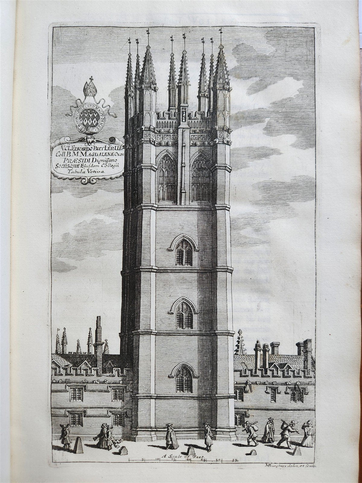 1724 LIFE of CARDINAL WOLSEY by Richard Fiddes ILLUSTRATED FOLIO antique ENGLISH