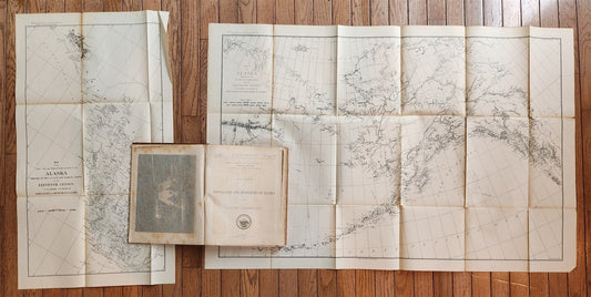 1893 Population & Resources of ALASKA 11th Census ILLUSTRATED antique AMERICANA