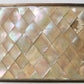 PHOTO ALBUM w/ MOTHER OF PEARL COVERS BRASS FRAME & CLASPS antique 19th CENTURY