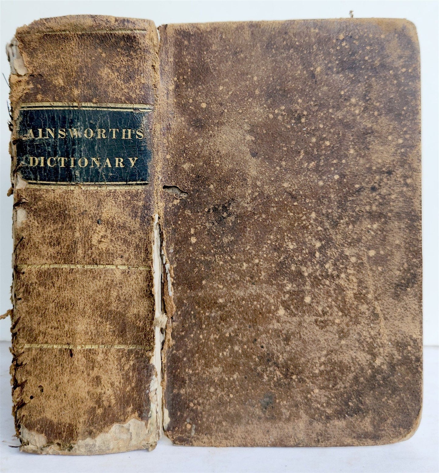 1833 ENGLISH & LATIN AINSWORTH'S DICTIONARY antique AMERICANA