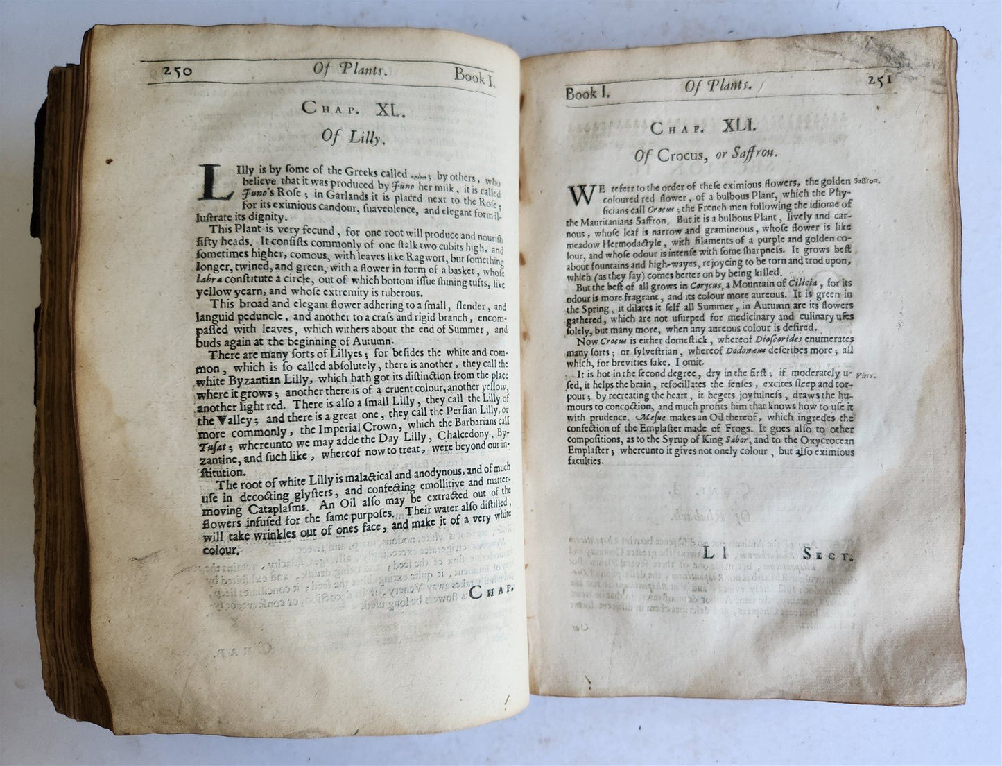1657 MEDICINAL DISPENSATORY PHARMACOPOEA antique in ENGLISH