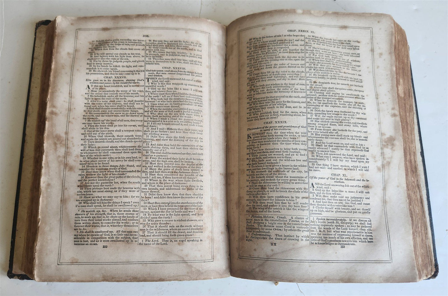 1855 BIBLE in ENGLISH antique OLD & NEW TESTAMENT Boston AMERICANA