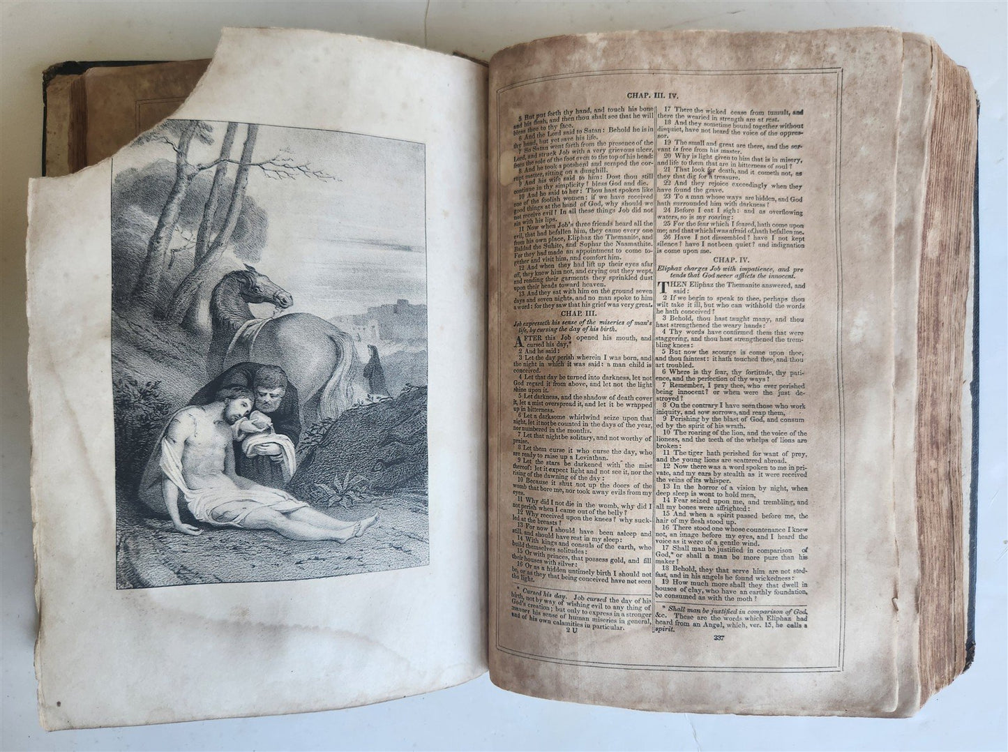 1855 BIBLE in ENGLISH antique OLD & NEW TESTAMENT Boston AMERICANA